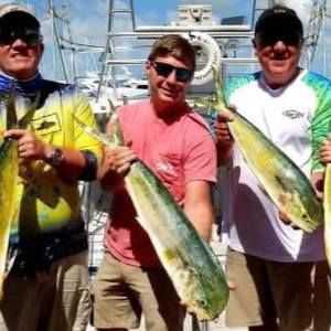 Meet your Posher, Lepaul